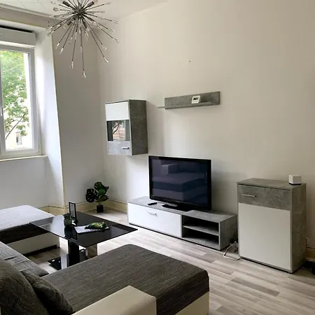 Daire Grand Proche Centre Et Tram Mulhouse